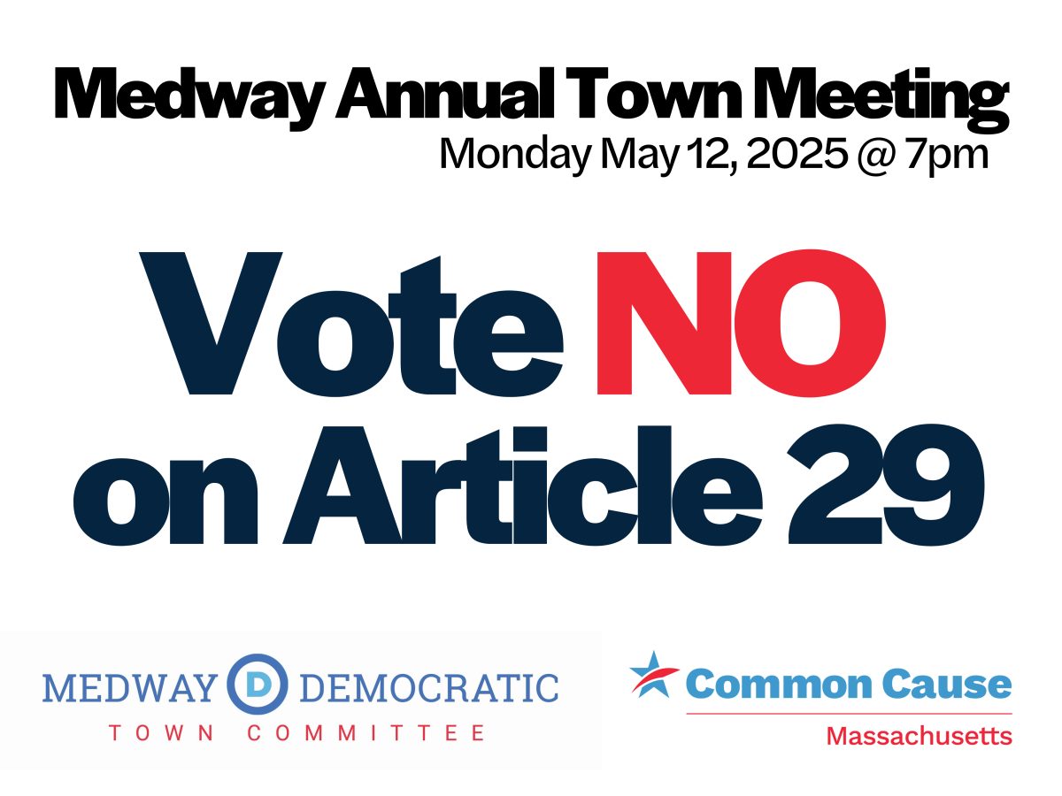 Vote NO on Article 29